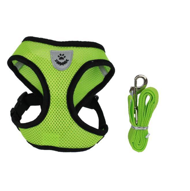 Car Safety Belt for Pets – Secure Every Adventure!