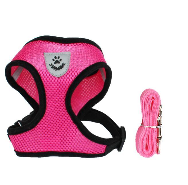 Car Safety Belt for Pets – Secure Every Adventure!