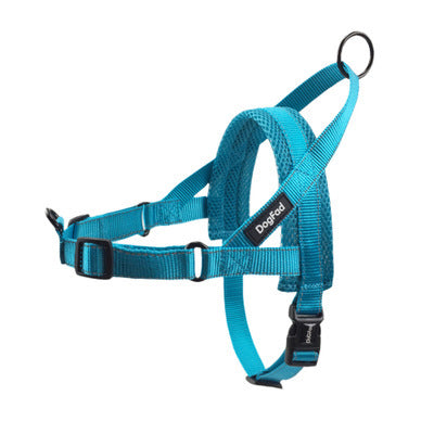 Durable Dog Harness & Leash for Daily Adventures