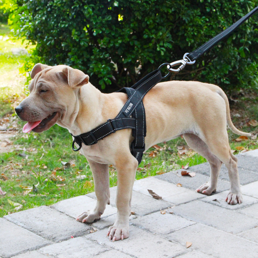 Durable Dog Harness & Leash for Daily Adventures