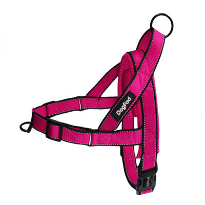 Durable Dog Harness & Leash for Daily Adventures