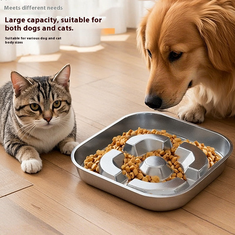 Stop Fast Eating! Help Your Pet Enjoy Mealtime