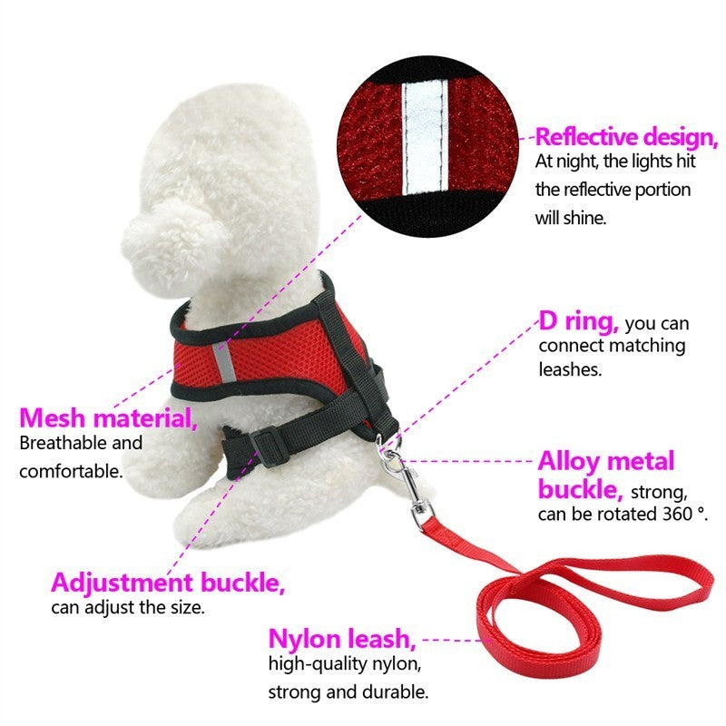 Car Safety Belt for Pets – Secure Every Adventure!