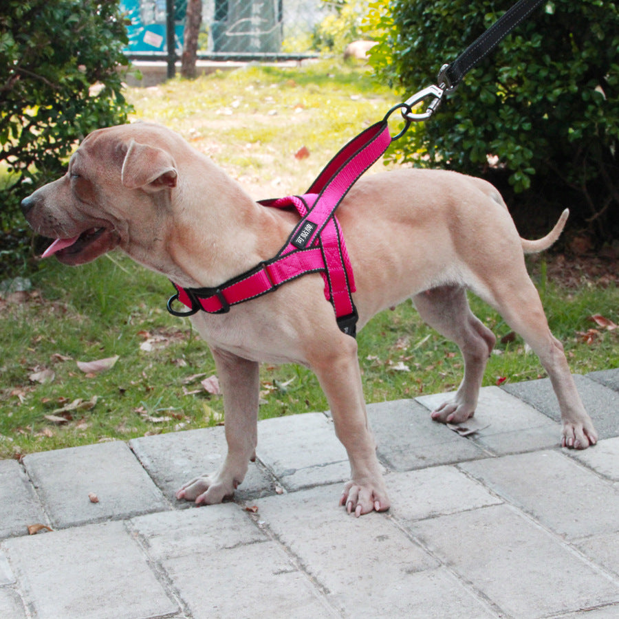 Durable Dog Harness & Leash for Daily Adventures