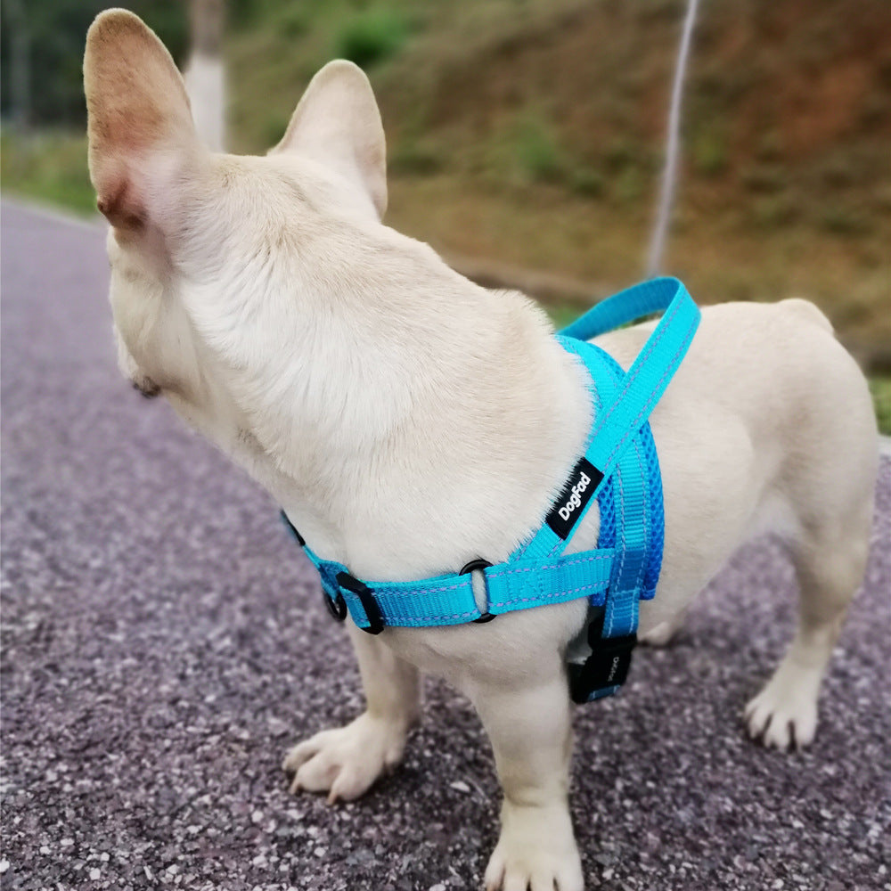 Durable Dog Harness & Leash for Daily Adventures